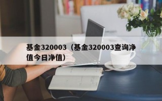 基金320003（基金320003查询净值今日净值）