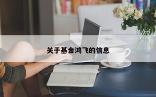 关于基金鸿飞的信息