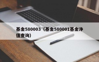 基金580003（基金580001基金净值查询）