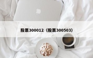 股票300012（股票300503）