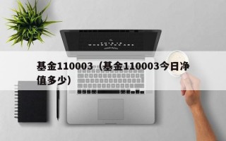 基金110003（基金110003今日净值多少）