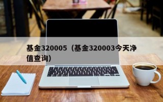 基金320005（基金320003今天净值查询）