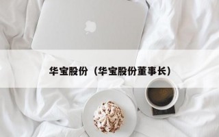 华宝股份（华宝股份董事长）