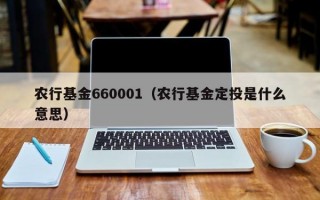 农行基金660001（农行基金定投是什么意思）