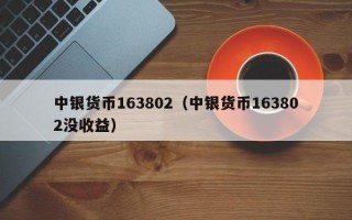 中银货币163802（中银货币163802没收益）