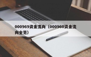 000969资金流向（000960资金流向全览）