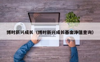 博时新兴成长（博时新兴成长基金净值查询）