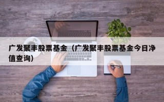 广发聚丰股票基金（广发聚丰股票基金今日净值查询）