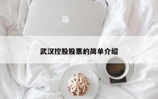 武汉控股股票的简单介绍