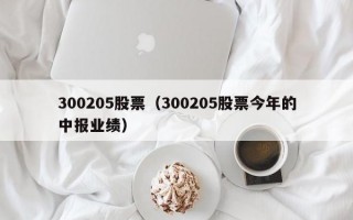 300205股票（300205股票今年的中报业绩）