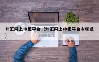 外汇网上申报平台（外汇网上申报平台有哪些）