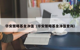 华安策略基金净值（华安策略基金净值查询）