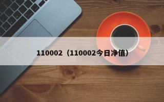 110002（110002今日净值）