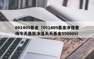 001409基金（001409基金净值查询今天最新净值天天基金550009）