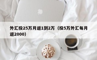 外汇投25万月返1到2万（投5万外汇每月返2000）