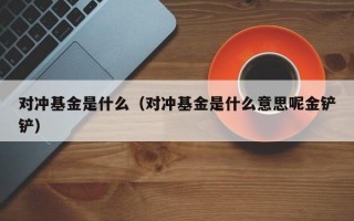 对冲基金是什么（对冲基金是什么意思呢金铲铲）