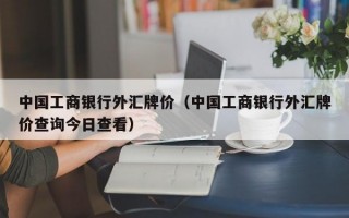 中国工商银行外汇牌价（中国工商银行外汇牌价查询今日查看）