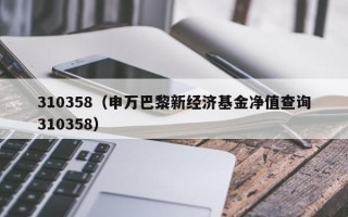 310358（申万巴黎新经济基金净值查询310358）