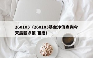 260103（260103基金净值查询今天最新净值 百度）