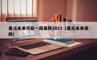 美元未来可能一路暴跌2023（美元未来涨跌）