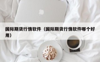 国际期货行情软件（国际期货行情软件哪个好用）