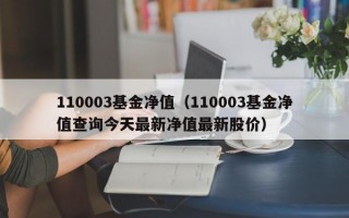 110003基金净值（110003基金净值查询今天最新净值最新股价）