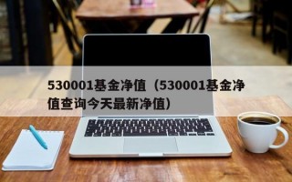 530001基金净值（530001基金净值查询今天最新净值）