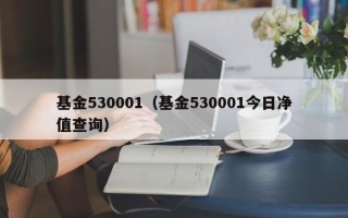 基金530001（基金530001今日净值查询）