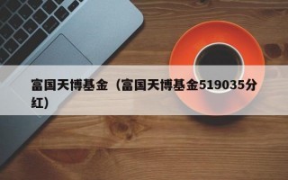 富国天博基金（富国天博基金519035分红）