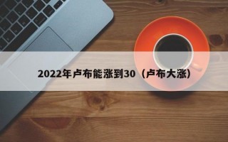 2022年卢布能涨到30（卢布大涨）