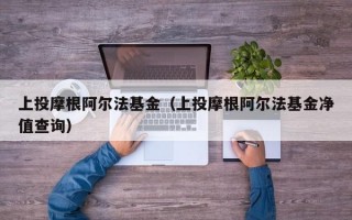 上投摩根阿尔法基金（上投摩根阿尔法基金净值查询）