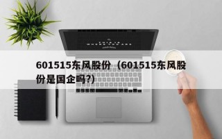 601515东风股份（601515东风股份是国企吗?）