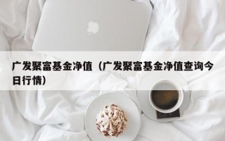 广发聚富基金净值（广发聚富基金净值查询今日行情）