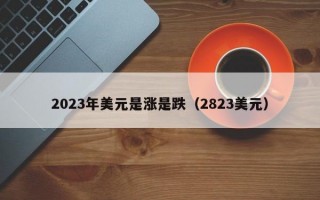 2023年美元是涨是跌（2823美元）