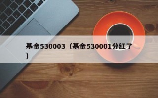 基金530003（基金530001分红了）