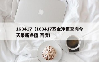 163417（163417基金净值查询今天最新净值 百度）