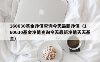 160630基金净值查询今天最新净值（160630基金净值查询今天最新净值天天基金）