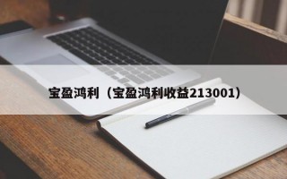 宝盈鸿利（宝盈鸿利收益213001）