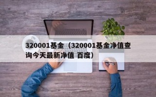 320001基金（320001基金净值查询今天最新净值 百度）