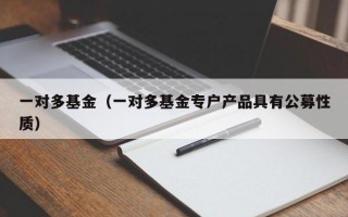 一对多基金（一对多基金专户产品具有公募性质）