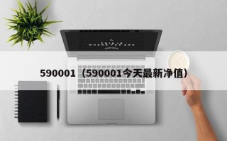 590001（590001今天最新净值）