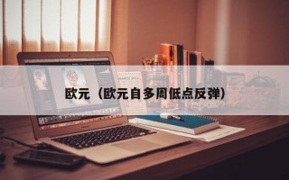 欧元（欧元自多周低点反弹）