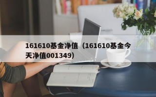 161610基金净值（161610基金今天净值001349）