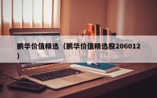 鹏华价值精选（鹏华价值精选股206012）