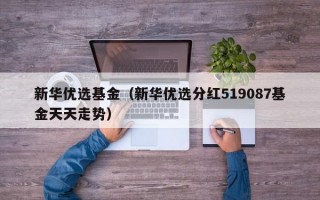 新华优选基金（新华优选分红519087基金天天走势）