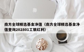 南方全球精选基金净值（南方全球精选基金净值查询202801工银红利）