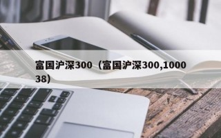 富国沪深300（富国沪深300,100038）