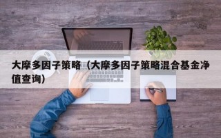 大摩多因子策略（大摩多因子策略混合基金净值查询）