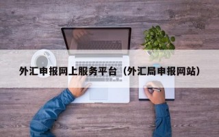 外汇申报网上服务平台（外汇局申报网站）