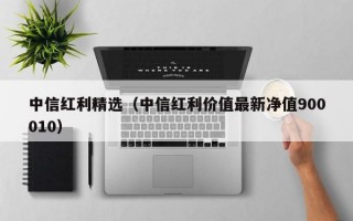 中信红利精选（中信红利价值最新净值900010）